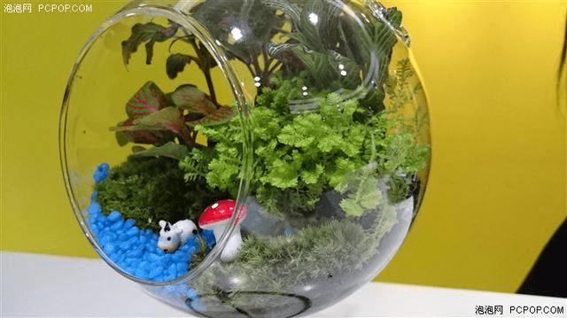 顶级三防+强大内芯,索尼新旗舰Z3+Dual性能如何?