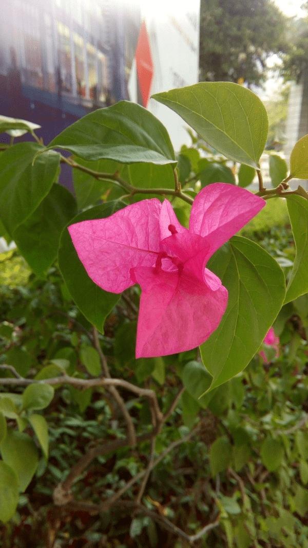 飞利浦S396手机性能的详细的图文解说