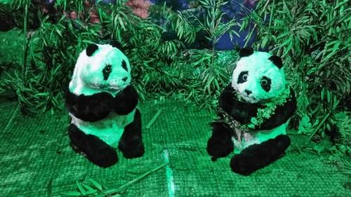 中兴AXON手机的拍照性能的详细介绍