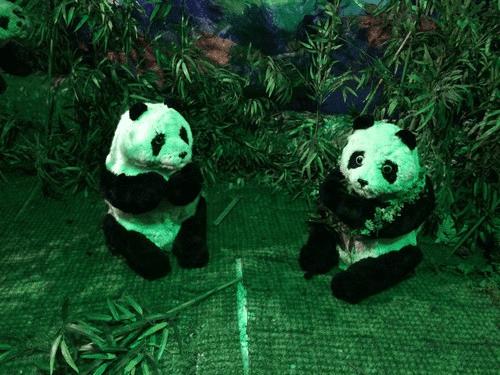 中兴AXON手机的拍照性能的详细介绍