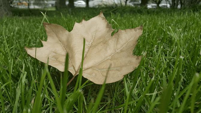 Galaxy s6 edge+˵Щ?