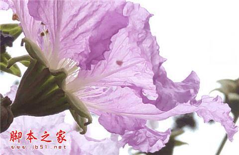 努比亚Z9手机在长期使用下的评价