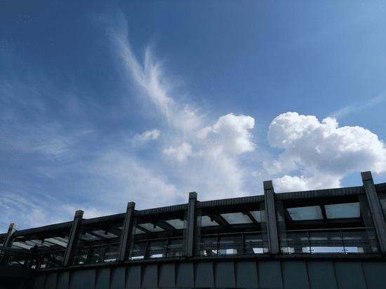 MX5ԱZUKZ1ĸֻԼ۱ȸӵĸߣ