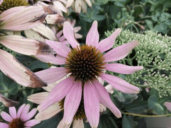 红米Note2高配版手机的全性能评测