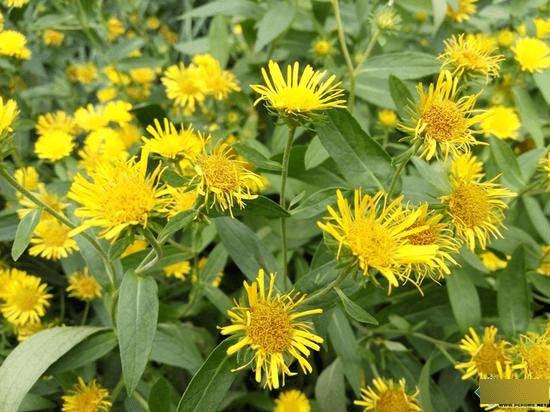 红米Note2高配版手机的全性能评测