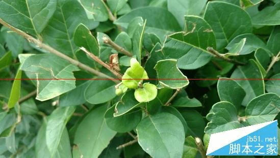 ĦMOTO X Styleֻܵȫ