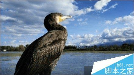 小米4c拍照像素的评测