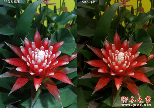 魅族pro5和魅族mx5的拍照性能的对比