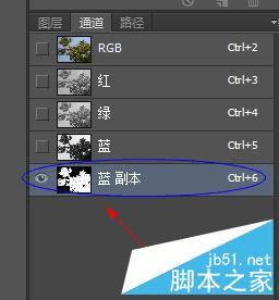 如何使用PS抠出—棵大树?