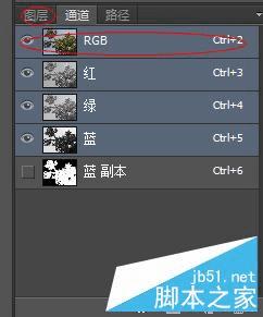 如何使用PS抠出—棵大树?