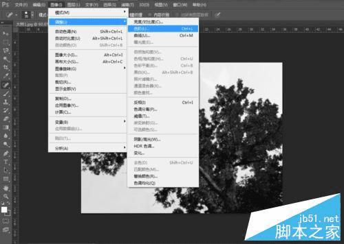 如何使用PS抠出—棵大树?