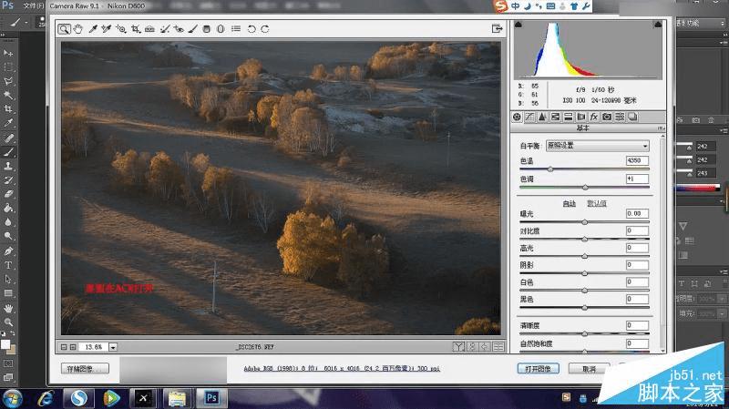 用Photoshop将外景风景照片调出梦幻唯美的油画效果的技巧