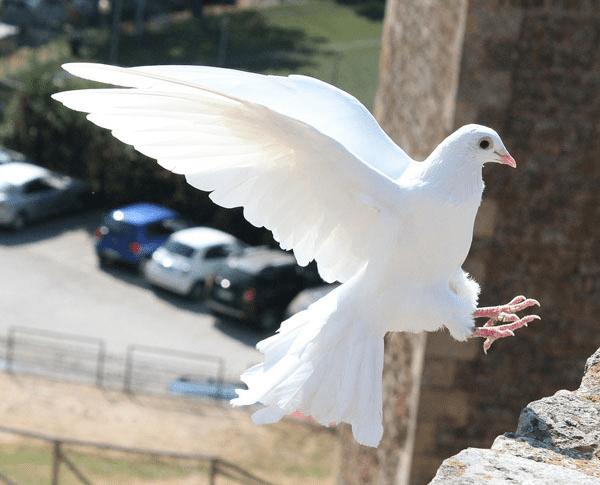 如何在PS中合成霞光中的小艇场景?