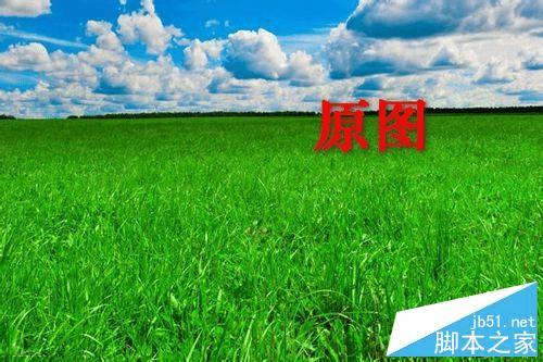 如何使用ps将夏季绿色图片变成秋季的黄色效果?