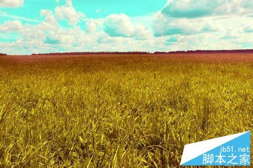 如何使用ps将夏季绿色图片变成秋季的黄色效果?