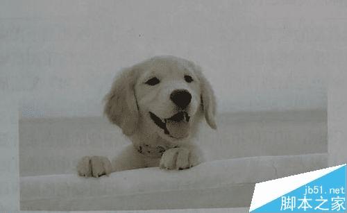 怎么样使用ps匹配多幅多幅的颜色?