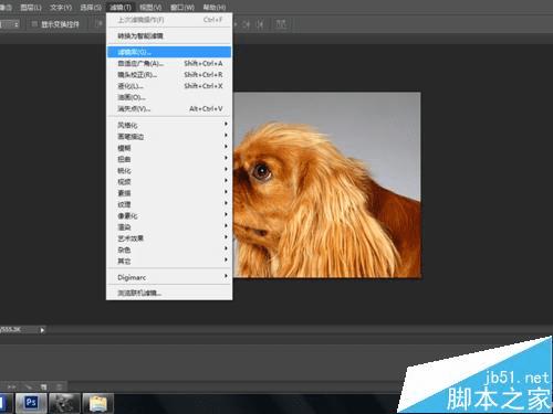 使用ps中的涂抹棒滤镜功能的方法步骤