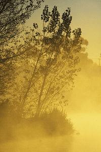 ��ô���м��ɵ���Ӱ��