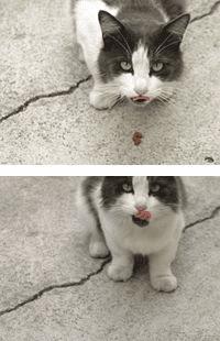 ��ô���м��ɵ���Ӱ��