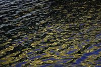 ��ô���м��ɵ���Ӱ��