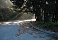 ��ô���м��ɵ���Ӱ��