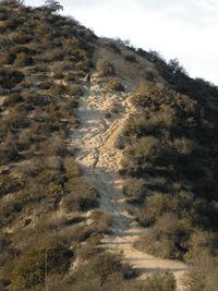 ��ô���м��ɵ���Ӱ��