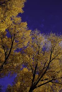 ��ô���м��ɵ���Ӱ��