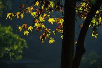 ��ô���м��ɵ���Ӱ��