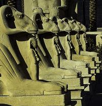 ��ô���м��ɵ���Ӱ��