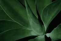 ��ô���м��ɵ���Ӱ��