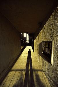 ��ô���м��ɵ���Ӱ��