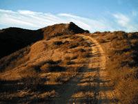 ��ô���м��ɵ���Ӱ��