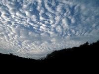 ��ô���м��ɵ���Ӱ��