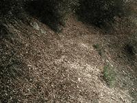 ��ô���м��ɵ���Ӱ��