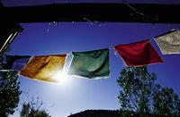 ��ô���м��ɵ���Ӱ��