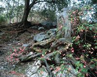 ��ô���м��ɵ���Ӱ��