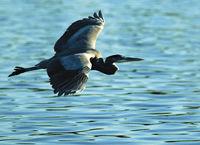 ��ô���м��ɵ���Ӱ��