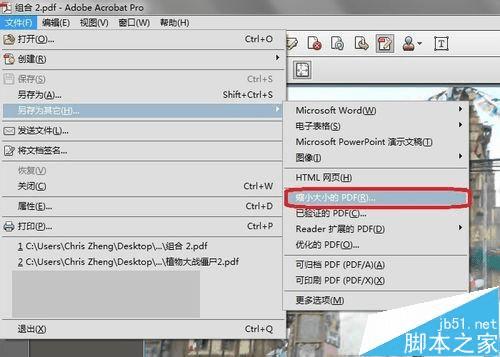 怎么样调整PDF文件的大小?