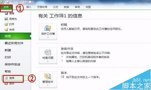 ʹExcel2010ѡťѡ⣿