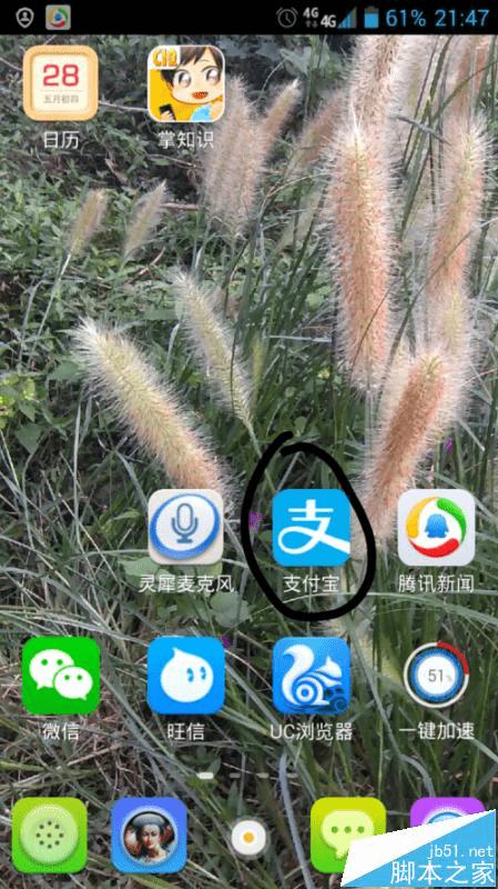 如何在手机支付宝中转账?