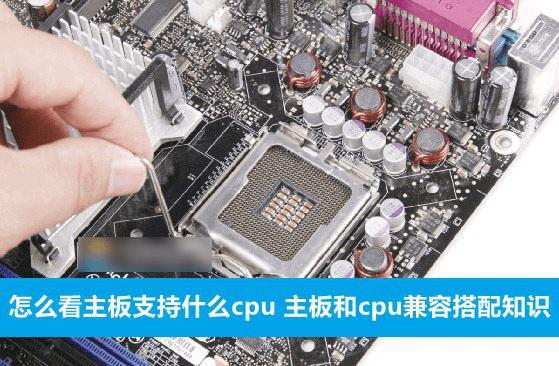 主板支持哪种类型的CPU?