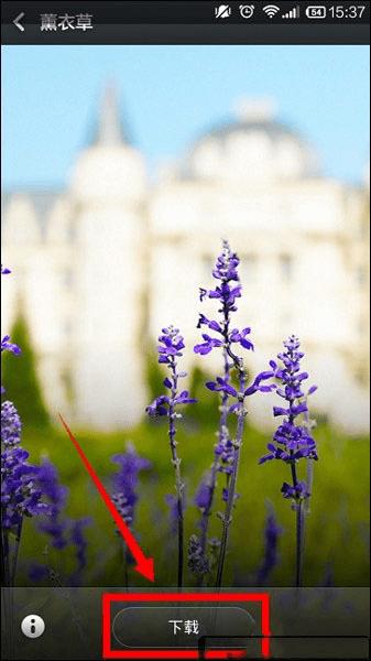 小米4C设置壁纸的步骤