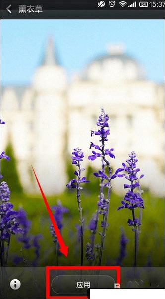 小米4C设置壁纸的步骤