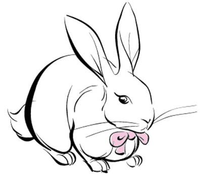 运用Illustrator Intuos2画可爱活泼的小兔的方法技巧