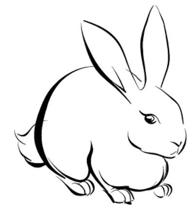 运用Illustrator Intuos2画可爱活泼的小兔的方法技巧