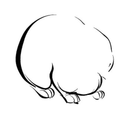 运用Illustrator Intuos2画可爱活泼的小兔的方法技巧