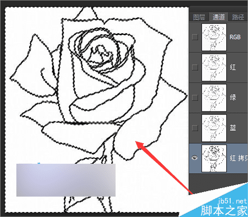 在ps中快速抠出简笔画中的线条的方法