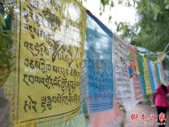 OPPO R7sOPPO R7 Plus֮