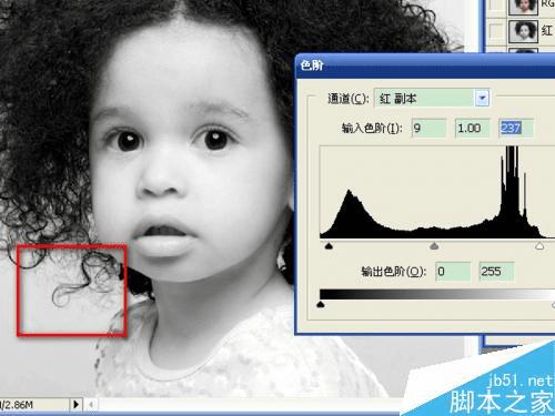 在PS中更换颜色的办法