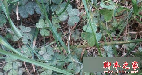 三星GALAXY On7手机性能如何?